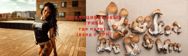 мет Карпинск