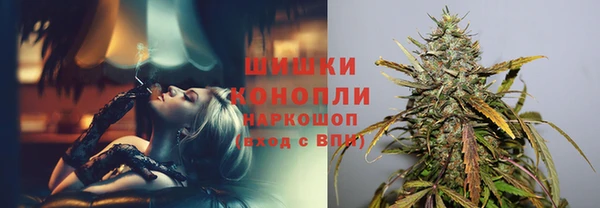 мет Карпинск