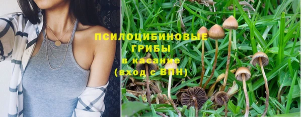 скорость Касимов